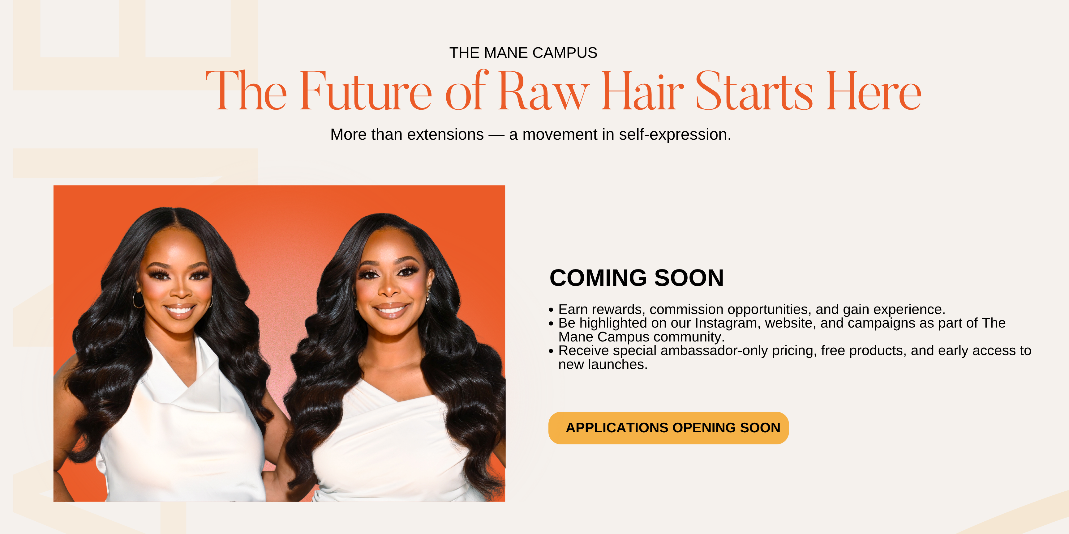 The Mane Campus Student Ambassador Program for college women who love luxury hair and content creation.